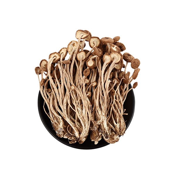 High Quality Dried Tea Tree Mushroom