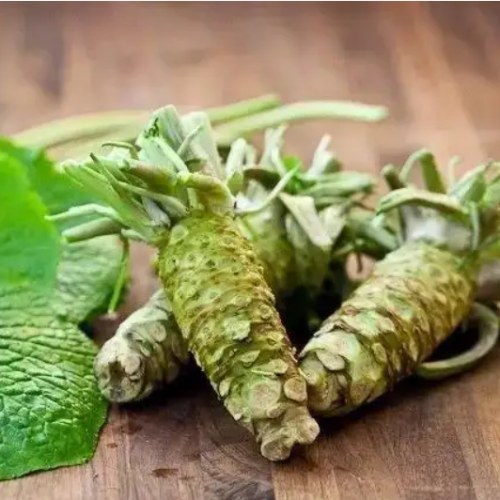 Anti-cancer Effects Of Wasabi Japonica