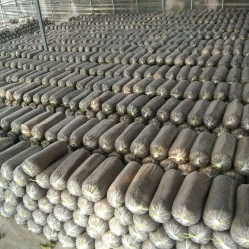 Shiitakes Seeded In China Sprouting As “Product Of The USA”