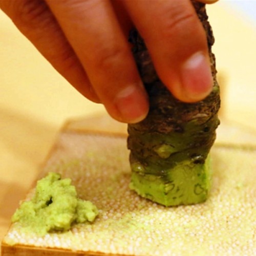fresh wasabi japonica, shelf life is only 15 minutes