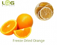 Freeze Dried Orange