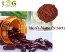 Organic Lions Mane Extract Capsule
