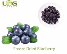Low Fat FD Blueberry